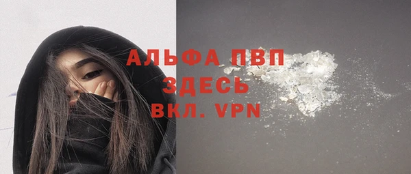 СК Алексин