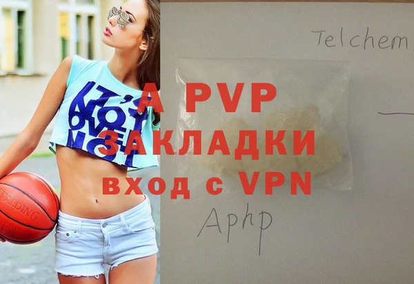 СК Алексин