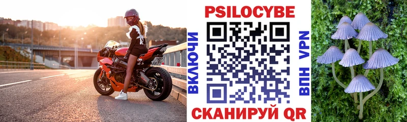 Псилоцибиновые грибы Psilocybe  Балашов 